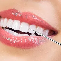 nari dream portable metal toothpick fruit picks 4PCS-I1 image 3