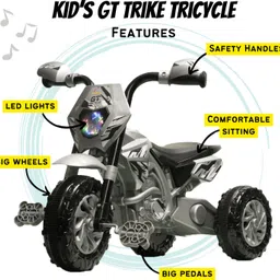 dandles Panda GT Tricycle Ride-on Scooter Tricycle image 2