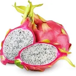 alogardening Dragon Tree image 3