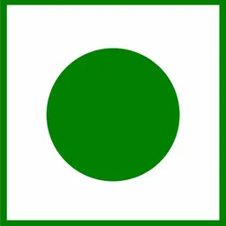 muditam ayurveda Karela Jamun Fizz (Karela Jamun Juice) Effervescent Tablet Ideal for 3 Months image 5