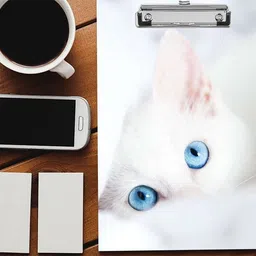 flipdecor WHITE LOVELY CAT digital reprint clip board exam pad (14 x 10 Inches) premium quality ( wood ) image 3
