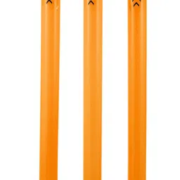sp t20 STUMP SET FULL SIZE-picture-25