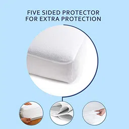 coirfit Jena (78x72) Cotton Waterproof King Size Protector In Beige Colour image 3