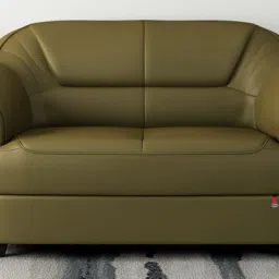 durian Berry compact Leatherette 2 Seater Sofas in Olive Green Colour image 1