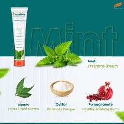 himalaya Botanique Complete Care Toothpaste - Simply Mint 150g Toothpaste image 4