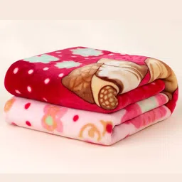 tinitot Cartoon Crib Mink Blanket for Heavy Winter-picture-12