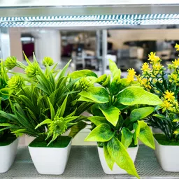 lavior Premium Artificial Plants Set of 4 | Durable Plastic | No Maintenance | Wild Artificial Plant with Pot-picture-12