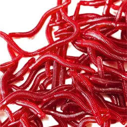 vasadigital Plug Silicone Fishing Lure image 5