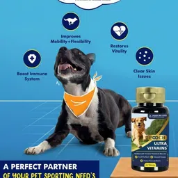 furmate FM-MVM18-30T Pet First Aid Kit image 5