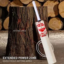 bsm Blade X Red Elite Bat For Hard/Soft Tennis Ball Poplar Willow Cricket Bat For 15+ Yrs image 3