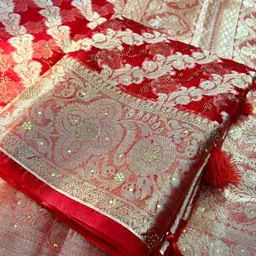 Woven Banarasi Organza Saree-image-0