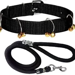 senapati 164 cm Dog Cord Leash-picture-23