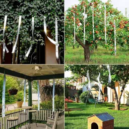 kipsome Bird Spike image 4