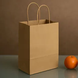 interbix nature plus pvt ltd Solid Party Bag-picture-24