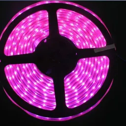 daiwik 600 LEDs 5 m Pink Steady Strip Rice Lights-picture-26