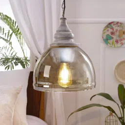 kapoor lampshades Transparent Glass Single Hanging Lights image 1