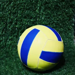 dss Limited Edition Hand Stitched Volleyball for Men & Women Volleyball - Size: 4 image 5