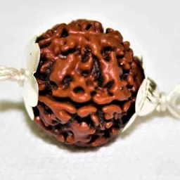 beautum 5 Mukhi/Faced Nepali Rudraksha Natural & Rudraksha With Capping Wood Pendant-picture-25