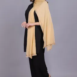 axolotl Net Self Design Beige Women Dupatta image 5