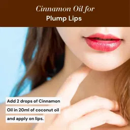 the 99 herbs company 99Herbs Cinnamon Essential Oil 15ml – Pure Natural Aromatherapy & Massage Oil image 4