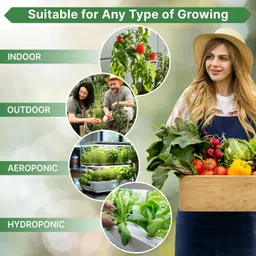 qualtivate JXL-8AT Brinjal Green Round Vegetable F1 Hybrid Seed image 3