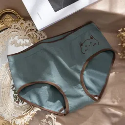 ishuvilla Pack of 3 Women Bikini Multicolor Panty image 4