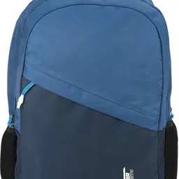 roadster Large 38 L Laptop Backpack Large Historage backpack Travel / Office / School image 3