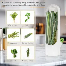 znuj Plastic Grocery Container - 500 ml image 4