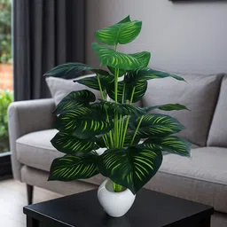 shivay Artificial Home/Office Decor| 18 LEAVES| Plant indoor/outdoor | without pot | Artificial Plant-picture-21