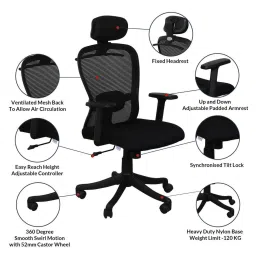 mintwud from pepperfry Brandon Breathable Mesh Ergonomic Chair in Black Colour image 3