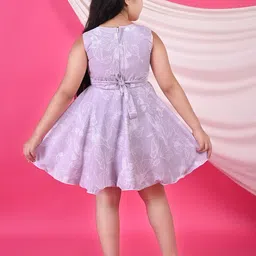BARKAT DESIGNING PLANET Girls Self Design A-Line Dress image 2