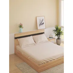 Home Centre Beige 300 TC King Bedsheet with 2 Pillow Covers-image-88