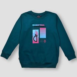 Gini and Jony Boys Graphic Printed Round Neck Cotton Pullover Sweatshirt-picture-13