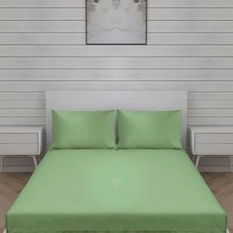 Trance Home Linen Green Cotton 300 TC King Bedsheet Set- 1.98 m x 1.82 m-picture-1
