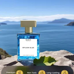 Arabian Aroma Dylan Blue Long Lasting Men Perfume- 50ml-image-5