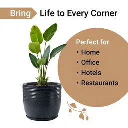 RUBOXA 2-Pcs Black Textured UV-ProtectedPlanters image 3