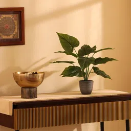 Elemntl Green Core image 3