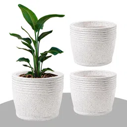 Kuber Industries White 3 Pieces Textured Roto Mould Flower Planters With Tray image 3