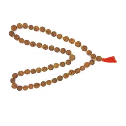 RAVIOUR LIFESTYLE Synthetic Necklace-picture-16