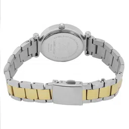 Daniel Klein Women Dial & Stainless Steel Straps Analogue Watch DK.6.14132-4 image 3