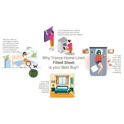 Trance Home Linen Cream-Coloured 300 TC Single Bedsheet with 2 Pillow Covers image 4