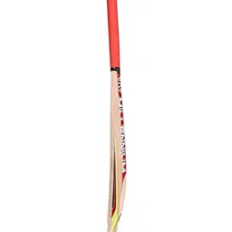 CW Kashmir Willow Cricket Bat With Hanging Ball image 5