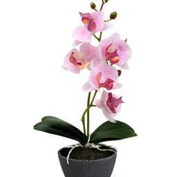 Myntra Elegant Homes Grey 1 Pieces Orchid Artificial Plant With Pot image 2