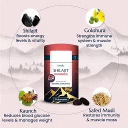 Kindly Health Pure Original Himalayan Shilajit/Shilajeet Gummies for Strength, Stamina & Energy| Immunity Booster with Gokshura and Vitamins C, D, B9, B12 | No Added Sugar | Natural Berry Flavour| (30 gummies) image 3