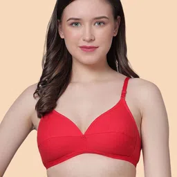 Aimly Bra Women's Cotton Non-Padded Regular Bra Pack of 2 image 3