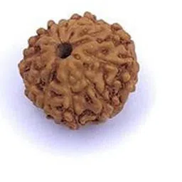 RAVIOUR LIFESTYLE Unisex Brown Pendant-picture-40