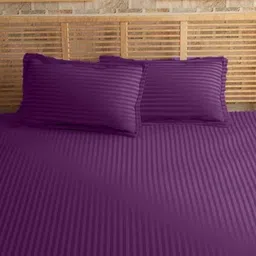 Sleeping Owls Violet Striped 210 TC King Bedsheet with 2 Pillow Covers-image-78