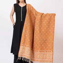 PYRO SPIRIT Women Paisley Woven Design Shawl-image-34