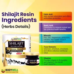 BODYWELL Pure Himalayan Shilajit Resin | Immunity, Strength, Stamina, Energy, Vitality | 20g image 2