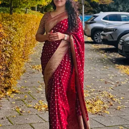 AMRUTKALA SAREES Ethnic Motifs Woven Design Zari Banarasi Saree-picture-49